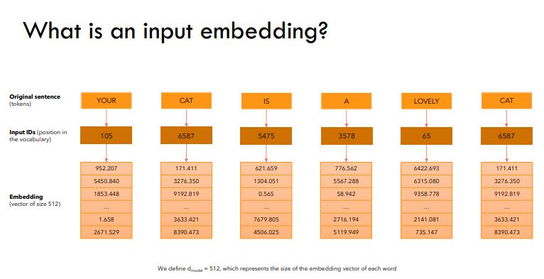Input Embeddings