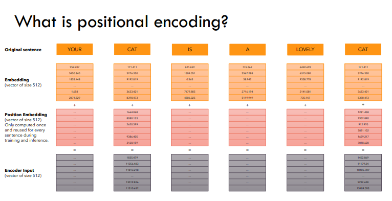Positional Embeddings